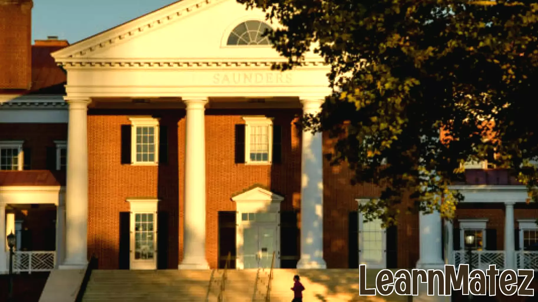 UVA Darden Leads the Way in AI-Enhanced Business Education